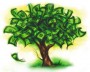 Money Tree