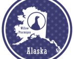 Stikine River Radio Traded In $10 Deal