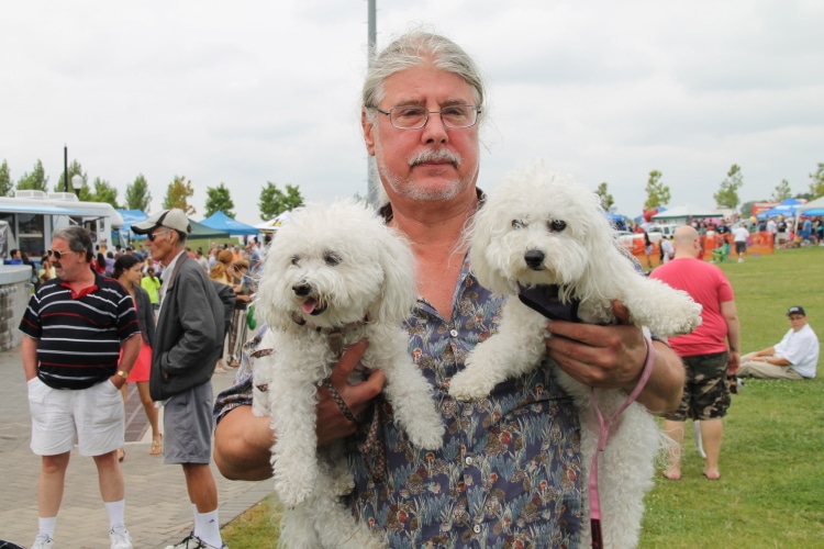 Cumulus NYC's "Bark in the Park" attracts 7,500 dog lovers ...