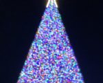 The 100-foot Christmas tree on display in downtown Delray Beach, Fla.