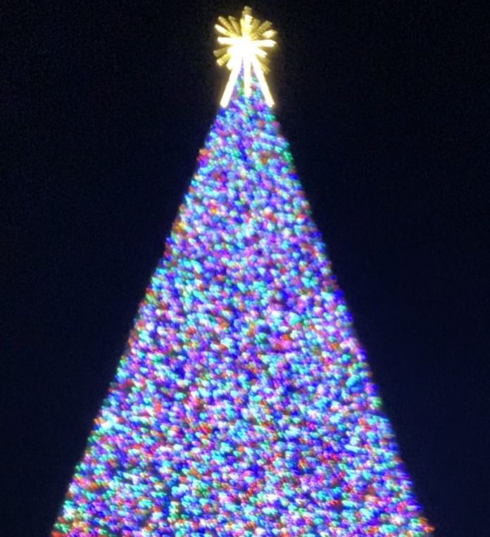 The 100-foot Christmas tree on display in downtown Delray Beach, Fla.