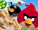 The Angry Birds model of program creation Angry Birds