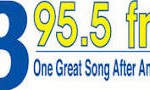 Kelly Wilson let go at B95.5