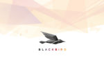 TownNews Extends its U.S. Use of Blackbird