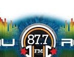 iHeartRadio, WWPR-HD2 add DaNu Radio