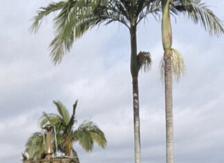 Financial Details Emerge In Hall’s Lakeland Exit