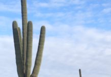 The Hispanic Radio Conference Heads To Phoenix The Phoenix sign as seen from Usery Mountain in Mesa, Ariz.