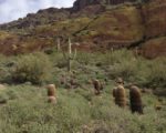 Cochise Donations Continue From Consent Decree Accord
