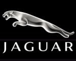 Jaguar launches “Your Turn” Jaguar
