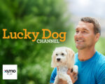 Xumo Play Users Are Lucky Dogs Thanks to HMPG Deal