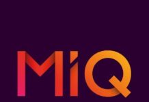 A Planning Agent Among The Updates To MiQ Sigma