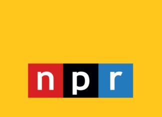 Rachel Evans to Guide NPR Donor Strategy NPR