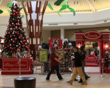 Shopping / Christmas / Holiday