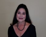 Volican Replacement System Provider Adds SE Sales Pro