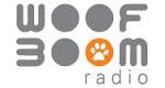 Hoosier Broadcasting sells translator
