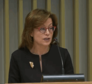 Anna M. Gómez, the lone Democrat serving as an FCC Commissioner, at the November Open Meeting