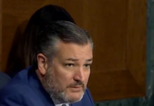 Confirmed: Cruz To Convene Senate Hearing On 39% Cap Sen. Ted Cruz (R-Tex.)