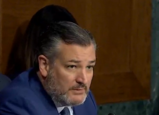 Confirmed: Cruz To Convene Senate Hearing On 39% Cap Sen. Ted Cruz (R-Tex.)