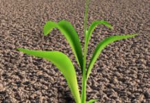 The ‘Big Picture’ M&A Outlook For 2026, Ahead of Forecast