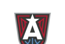 Dream Scenario For Gray Media With WNBA Team Deal