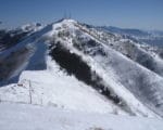 Trust This Deal: Beehive State Swaps Done
