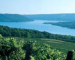 A Finger Lakes Sale for Tim Stratton