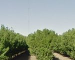 Fresno Twosome Loses Compass