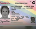 ‘HI’ Radio Hosts Ignite Protests Over New Hawaii Driver’s Licenses