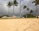 A Hawaiian LPTV Station Gains 50-50 Partnership