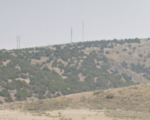 A Sandhill Swoop For an Idaho Falls Translator
