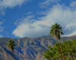So Long, CV: Coachella Valley Format Flip Portends Sale