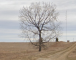 A North Dakota FM Trades Hands