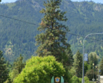 Non-Profit LPTV Licensee Dinged For Tardy License Renewals