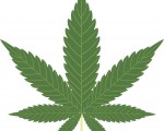 More Issues for Advertisers on CBD Copy