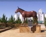 A Small Texas Town Gets Its First FM
