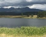 EMF’s Four Corners Grab