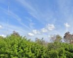 More Park Land In Parkland Means Beasley Sign-Offs