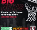 Good Vibrations: Peachtree Sports Network Inks Pro Volleyball Pact