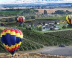 Bustos Bulks Up In Washington’s Tri-Cities