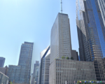 Windy City Translator Trading Hands