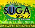 ‘Suga’ Slap The Result Of FM Translator Complaint In SWFL